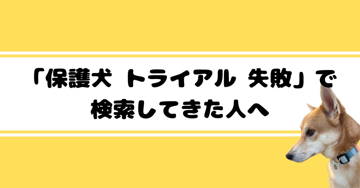 体験談７