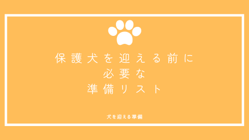 保護犬を迎える前に必要な準備リスト