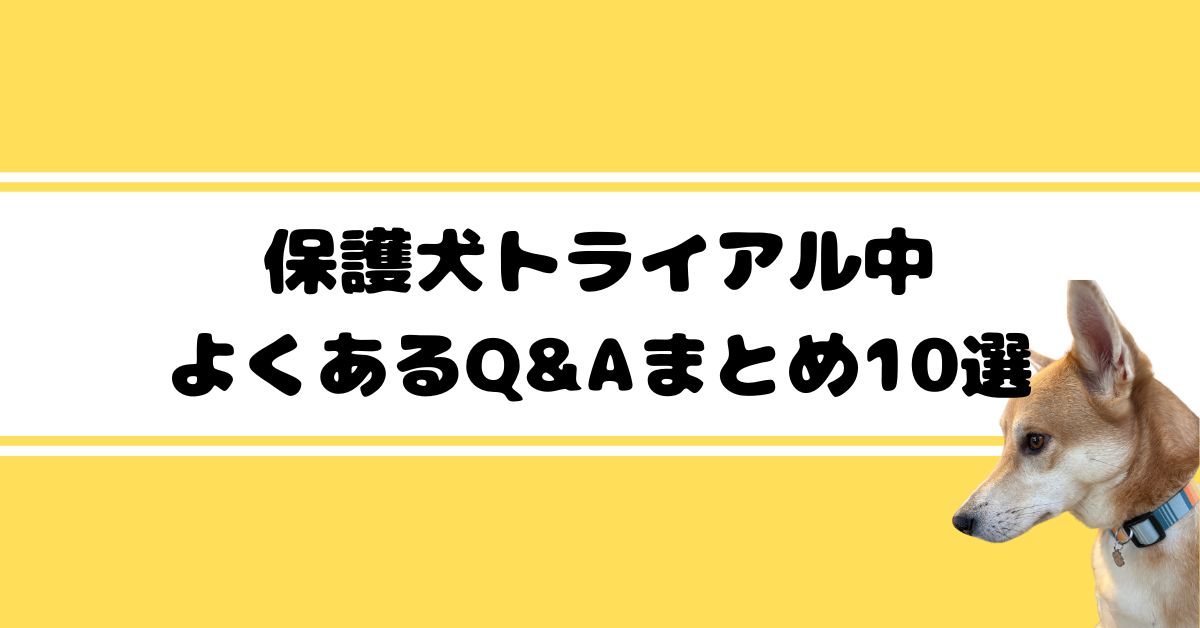 体験談６