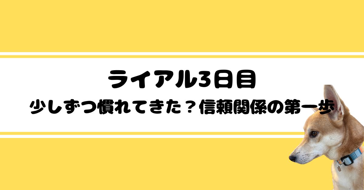 体験談５
