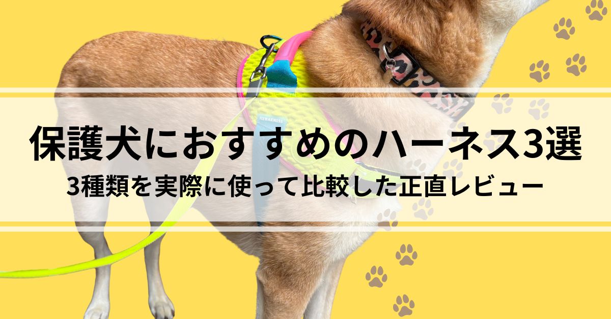 保護犬におすすめのハーネス