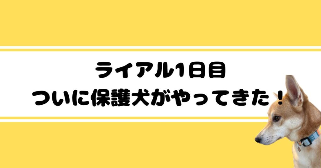 体験談4