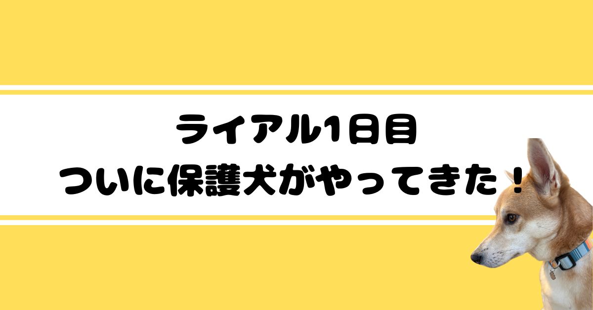 体験談４
