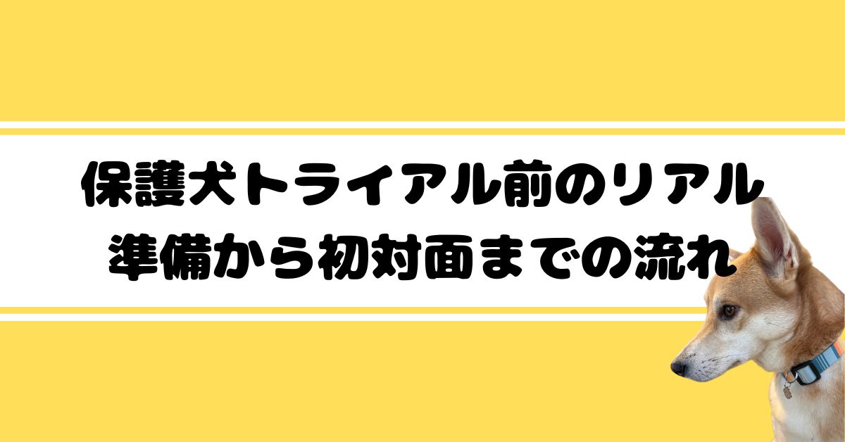 体験談２
