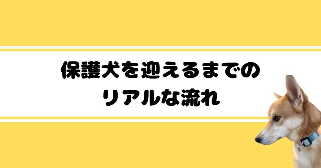 体験記1