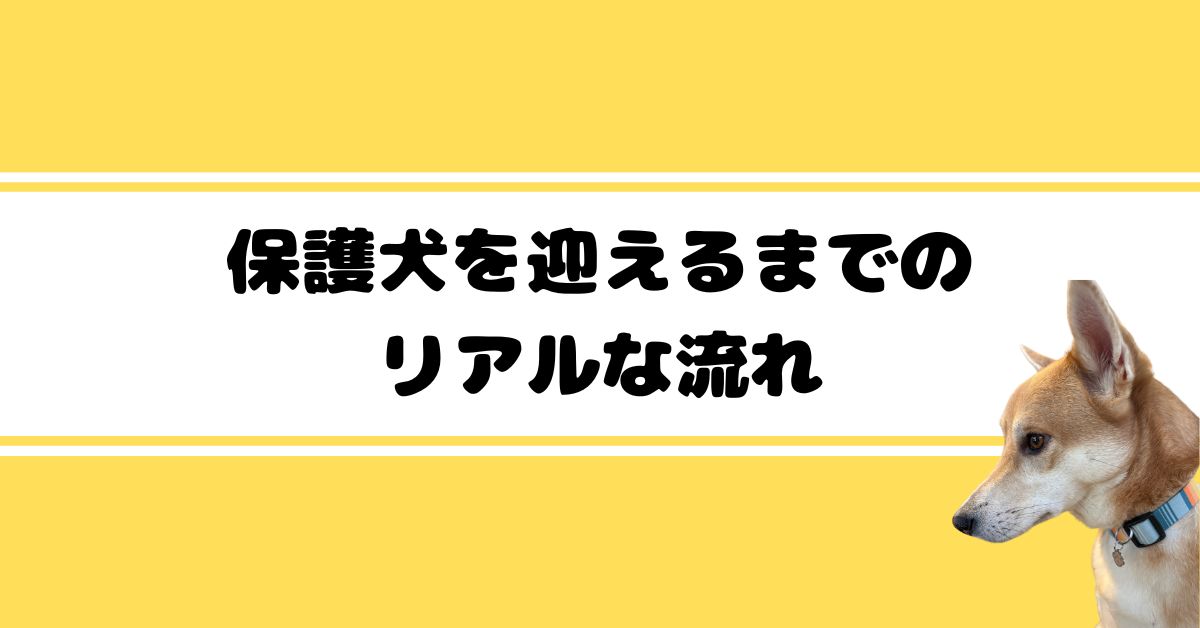 体験記１