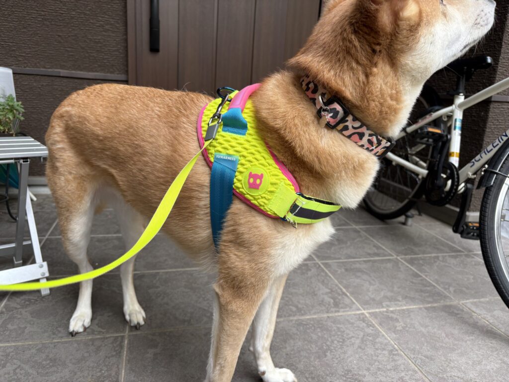 zee.dog LY HARNESS