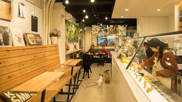 9+ cafe nineアイキャッチ