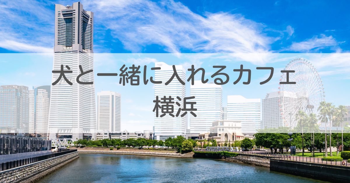 横浜アイキャッチ