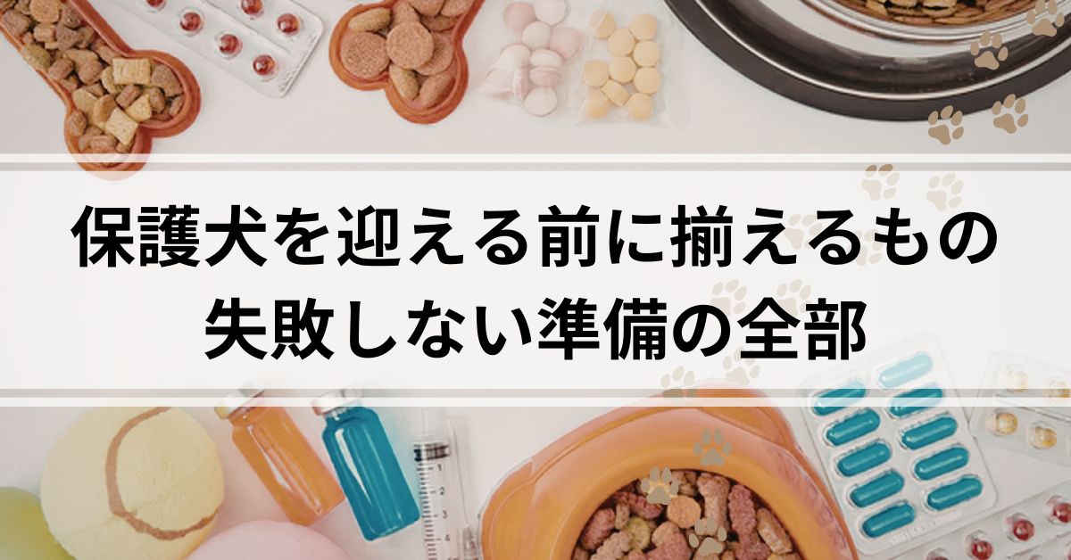 保護犬を迎える前に揃えるもの
