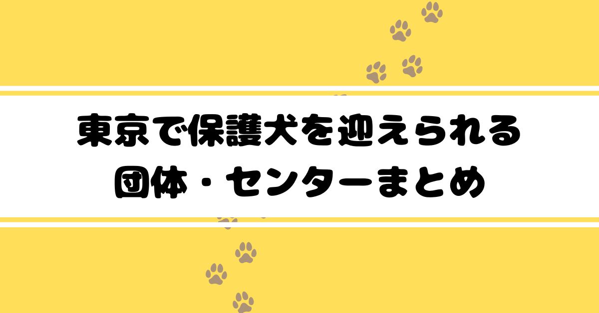 東京で保護犬を迎えられる 団体・センターまとめ