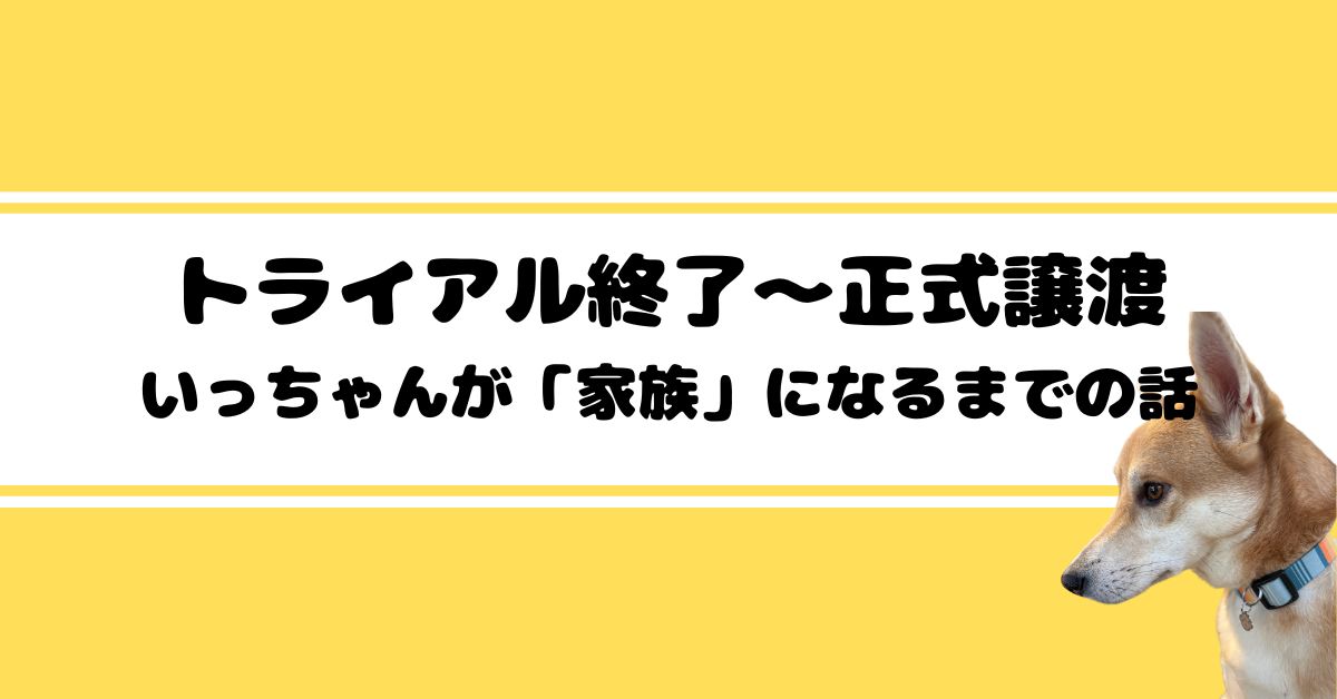 トライアル終了〜正式譲渡