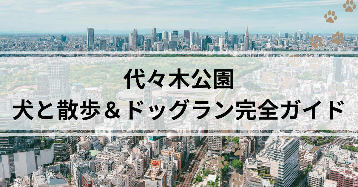 代々木公園