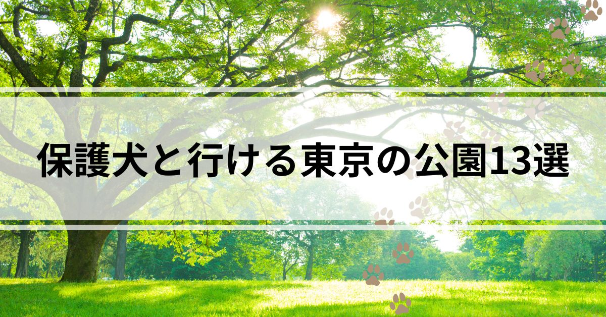 保護犬と行ける東京の公園13選