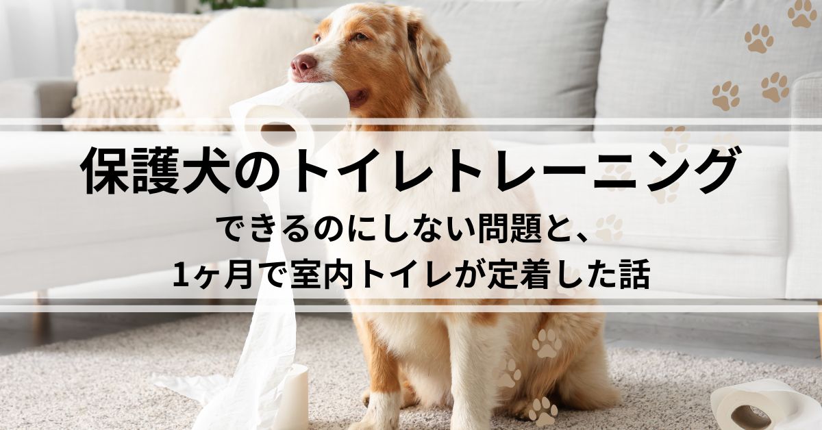 保護犬のトイレトレーニング