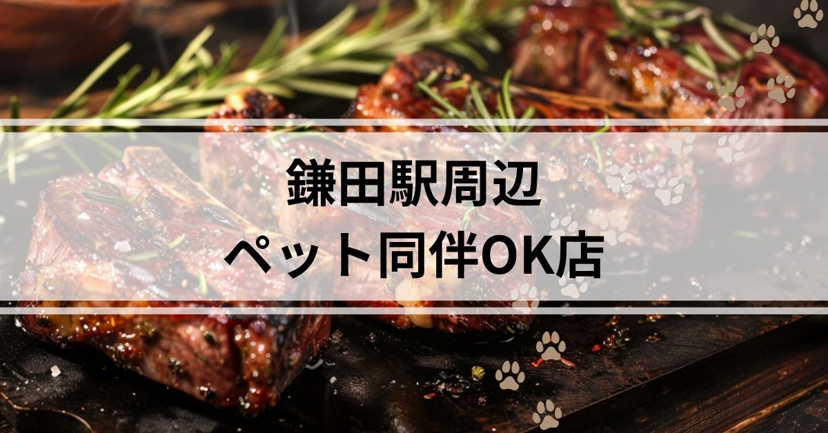 鎌田ランチ